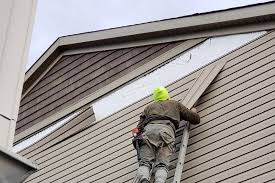 Affordable Siding Repair and Maintenance Services in Fraser, MI